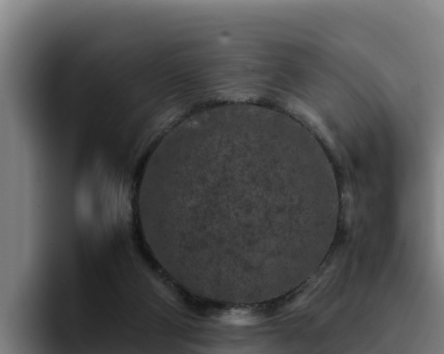 X0000094950114200712061259