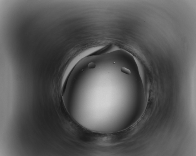 X0000094950116200712061259