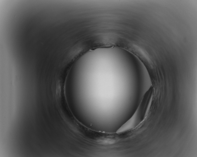 X0000094950120200712061259