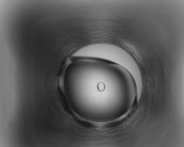 X0000094950121200712061259