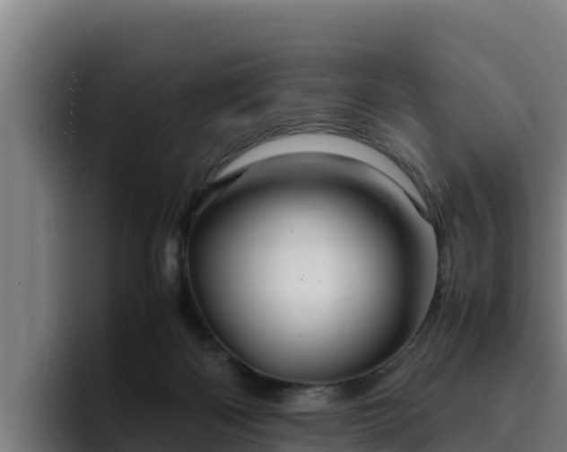 X0000094950122200712061259