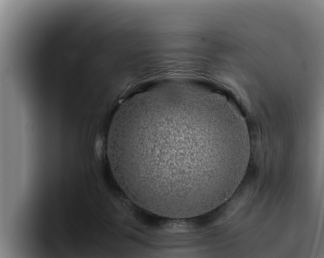 X0000094950123200712061259