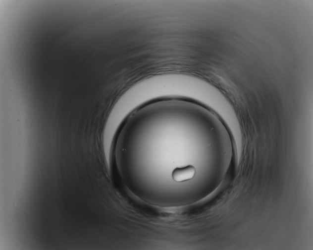 X0000094950125200712061259