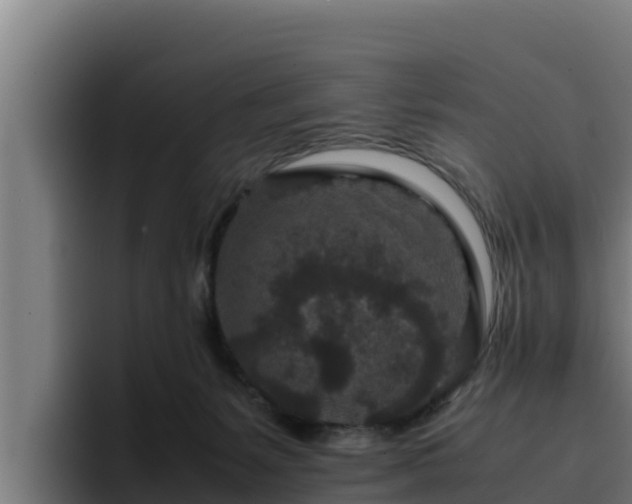 X0000094950127200712061259