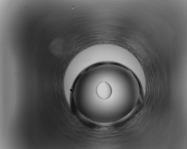 X0000094950129200712061259