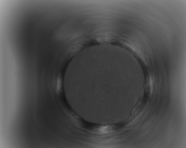 X0000094950130200712061259