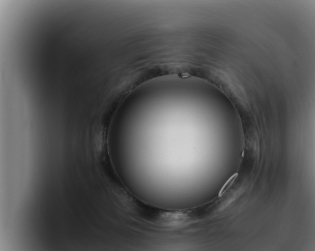 X0000094950133200712061259