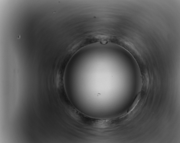 X0000094950136200712061259