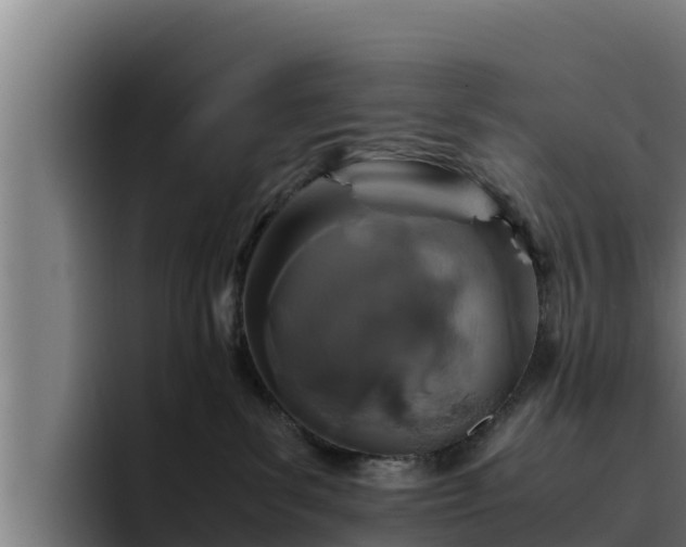 X0000094950139200712061259