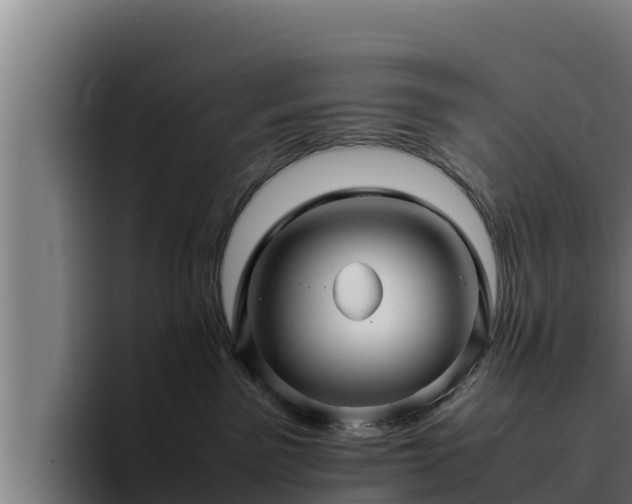 X0000094950141200712061259