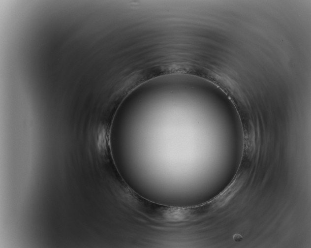 X0000094950142200712061259