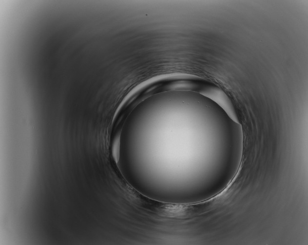 X0000094950144200712061259