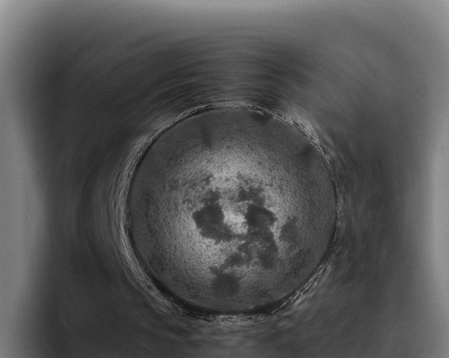 X0000094950145200712061258