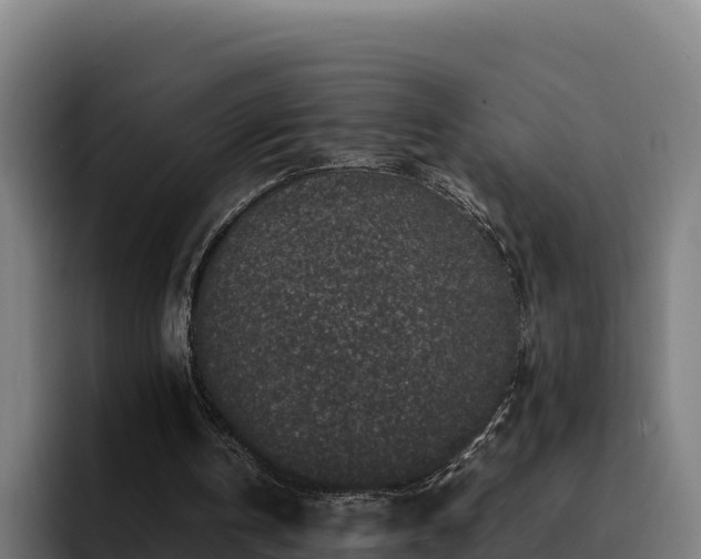 X0000094950146200712061258