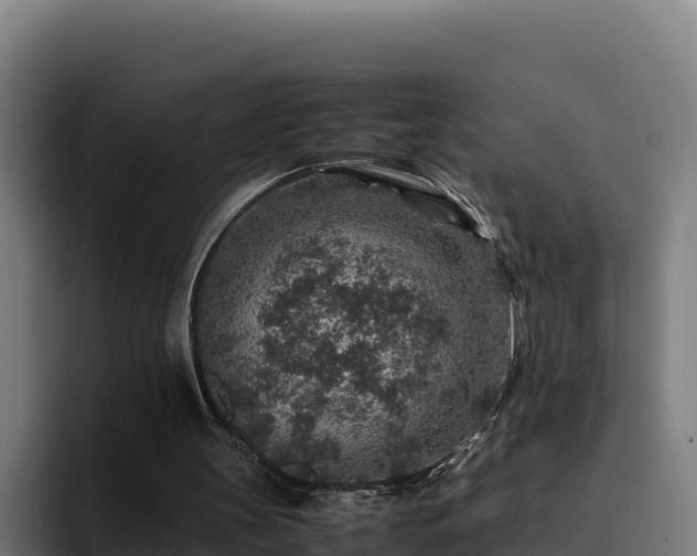 X0000094950147200712061258