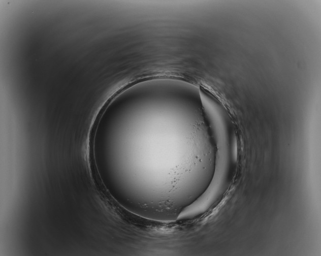 X0000094950148200712061258