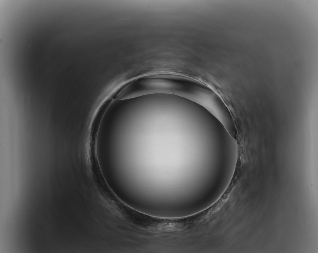 X0000094950152200712061258