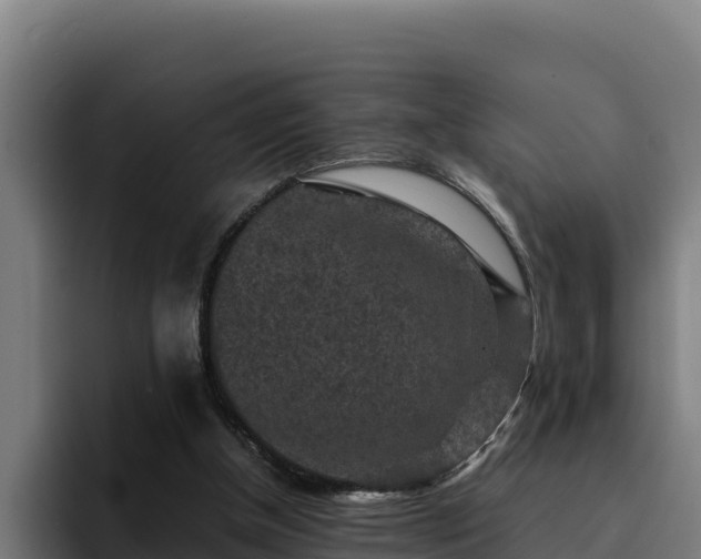 X0000094950154200712061258