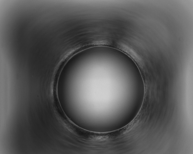 X0000094950155200712061258