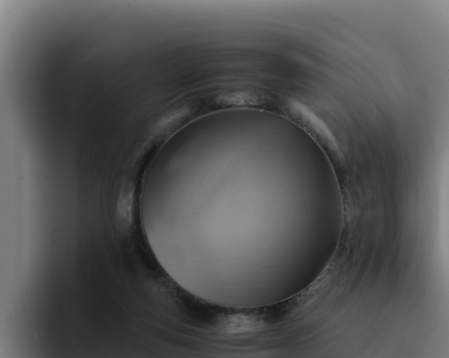 X0000094950163200712061258