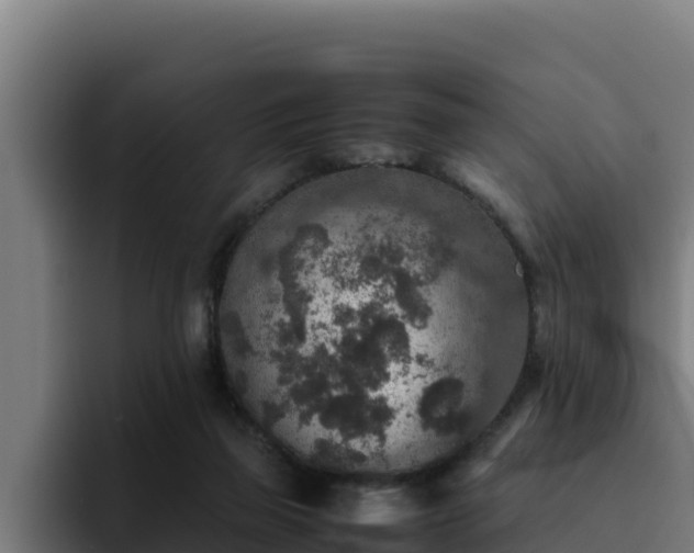 X0000094950165200712061258