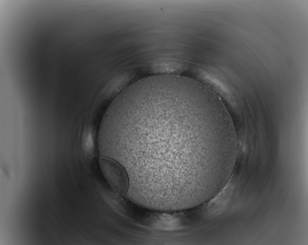 X0000094950166200712061258