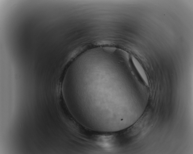 X0000094950168200712061258