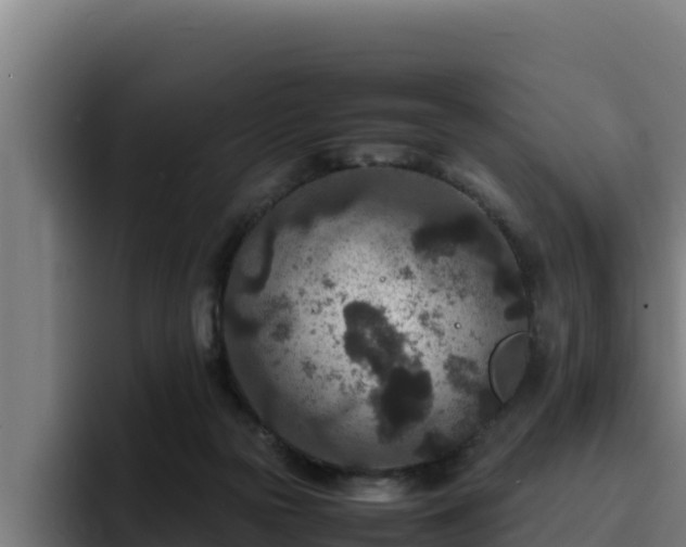 X0000094950169200712061258