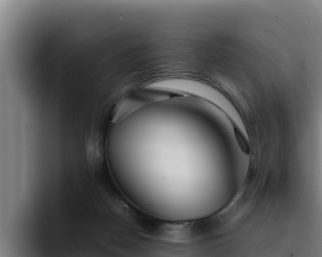 X0000094950170200712061258