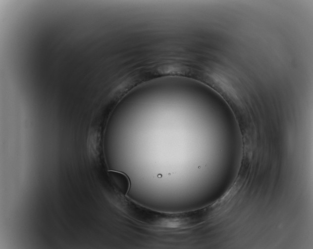 X0000094950171200712061258