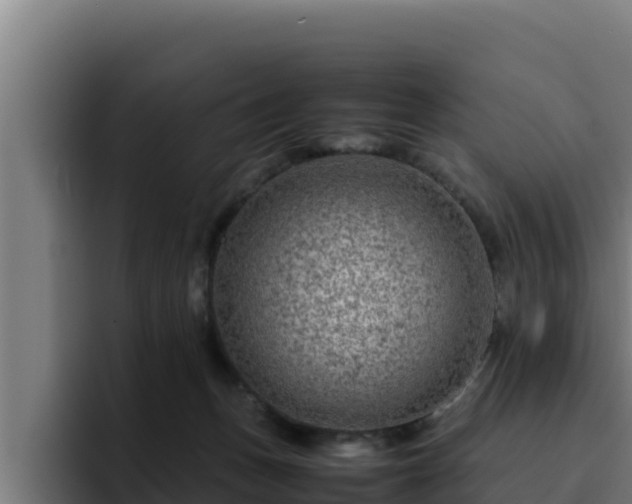 X0000094950175200712061259