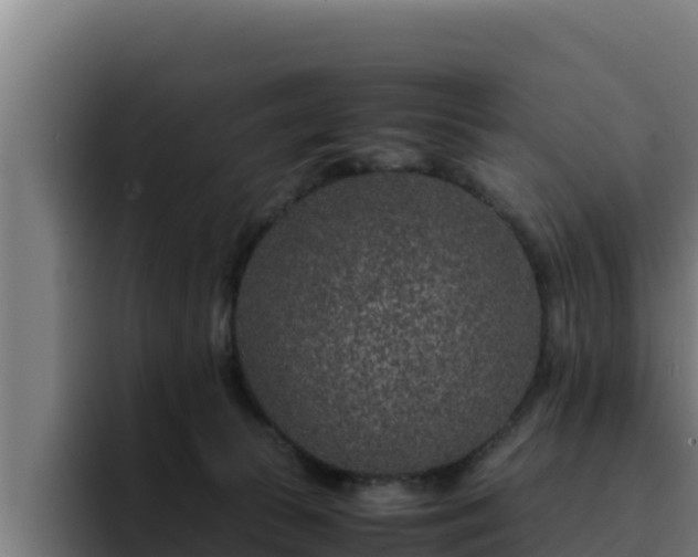 X0000094950177200712061259