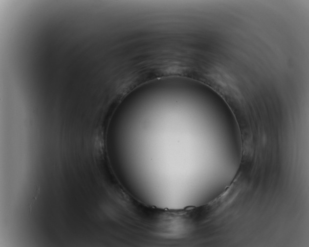 X0000094950179200712061259