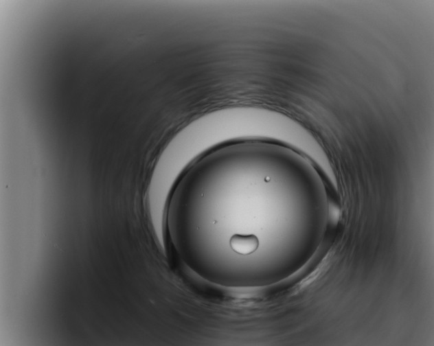 X0000094950180200712061259