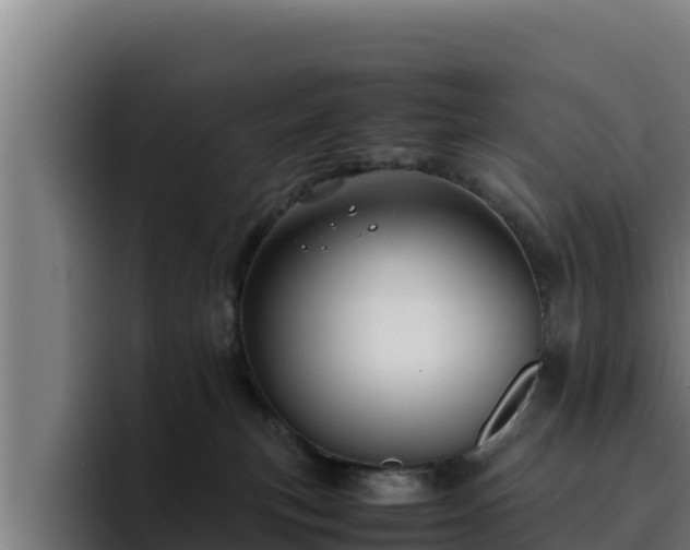 X0000094950183200712061259