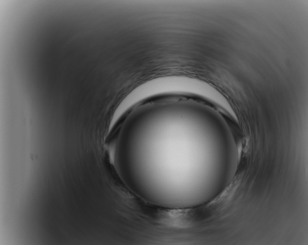 X0000094950184200712061259