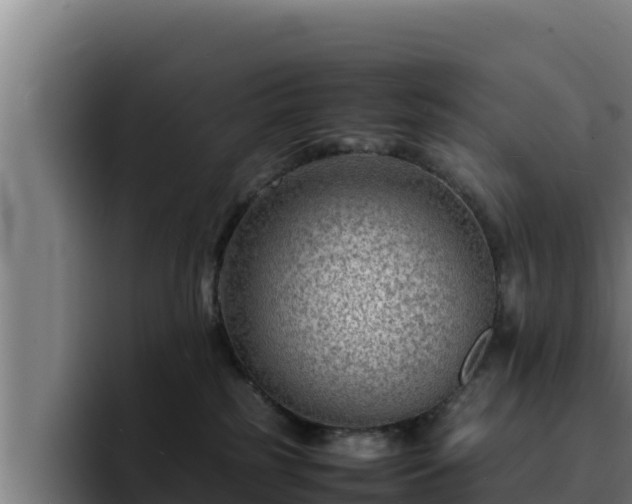 X0000094950185200712061259