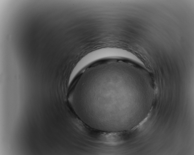 X0000094950186200712061259