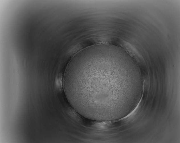 X0000094950190200712061259