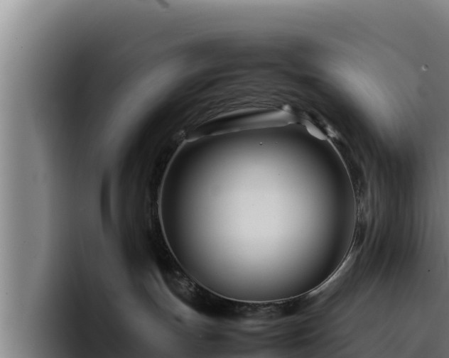 X0000094950191200712061259