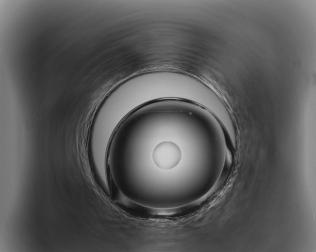 X0000094950193200712061258