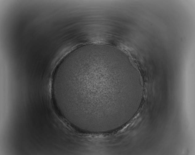 X0000094950194200712061258