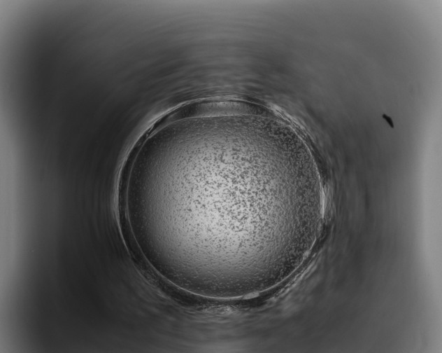 X0000094950195200712061258