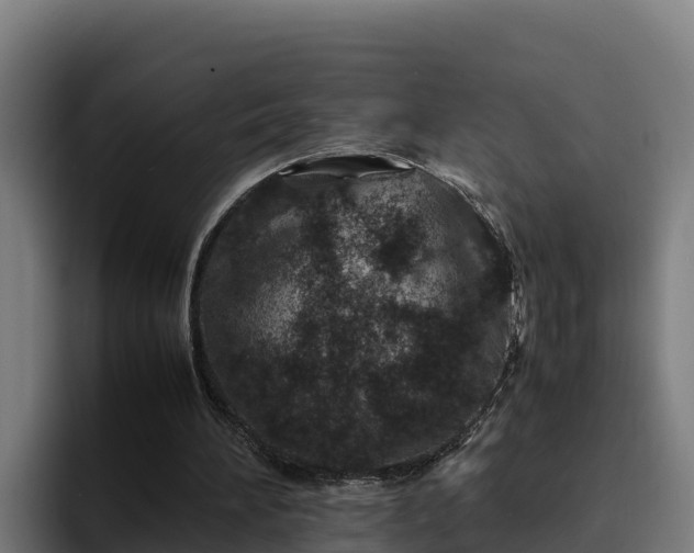 X0000094950196200712061258