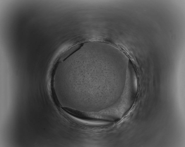 X0000094950197200712061258