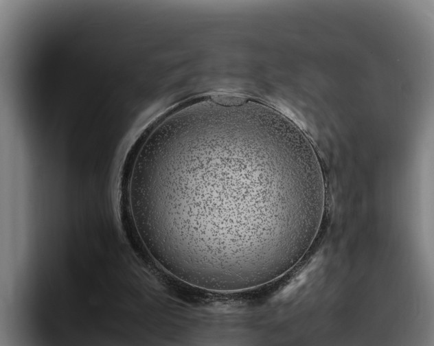 X0000094950199200712061258