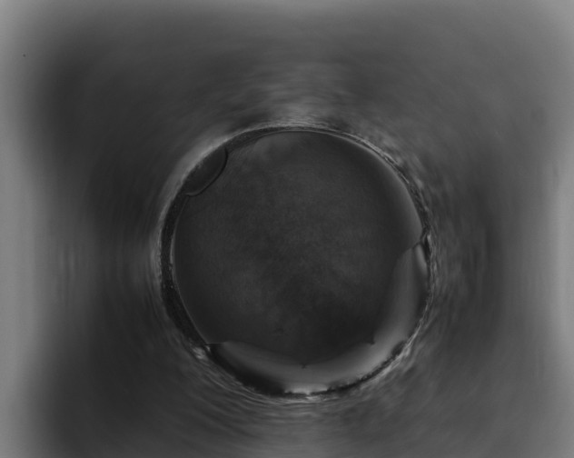 X0000094950200200712061258