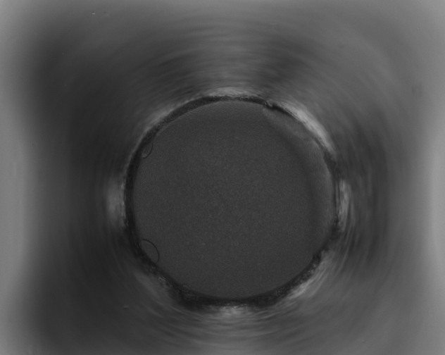 X0000094950204200712061258