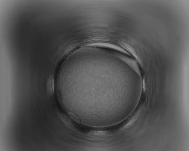 X0000094950205200712061258