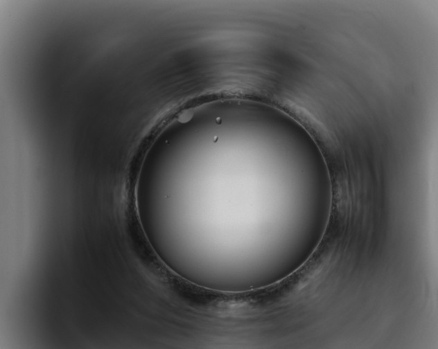 X0000094950208200712061258